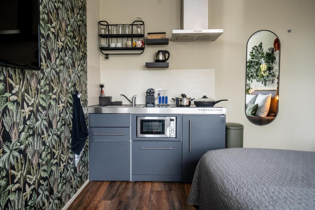 The Lion King - 6 Person Linked Apartment With Roof Terrace Groningen Luaran gambar